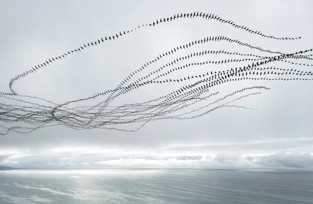 inspiracion transitar